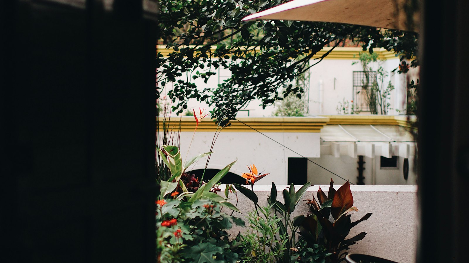 Plantes en pot sur la terrasse : les erreurs qui coûtent une saison